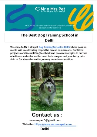 The Best Dog Training School in Delhi