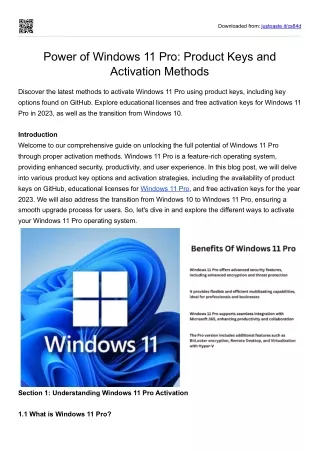 Importance of windwos 11 pro features