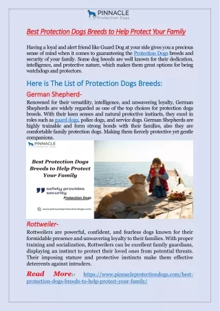 Best Protection Dogs Breeds to Help Protect Your Family
