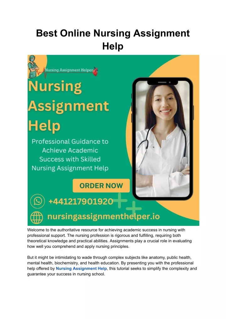 best online nursing assignment help