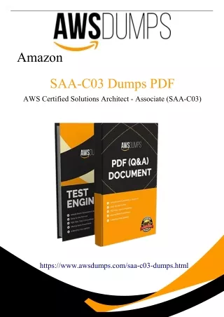 Latest 2024 SAA-C03 Dumps PDF