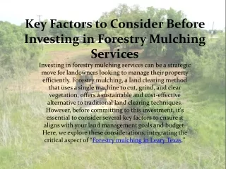 Key Factors to Consider Before Investing in Forestry Mulching Services