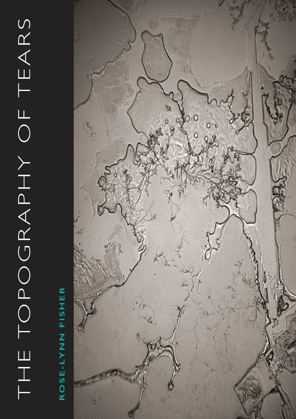 PPT - READ⚡[PDF] The Topography of Tears PowerPoint Presentation, free ...