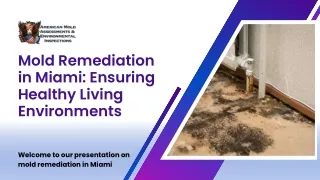 Mold Remediation in Miami: Ensuring Healthy Living Environments