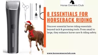 8 Essentials for Horseback Riding to Ensure Safety - Horse Owners Club