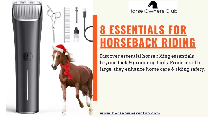 8 essentials for horseback riding