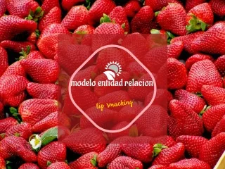 modelo entidad relacion
