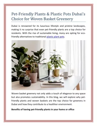 Pet-Friendly Plants & Plastic Pots Dubai's Choice for Woven Basket Greenery