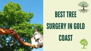 Best Tree surgery in Gold Coast