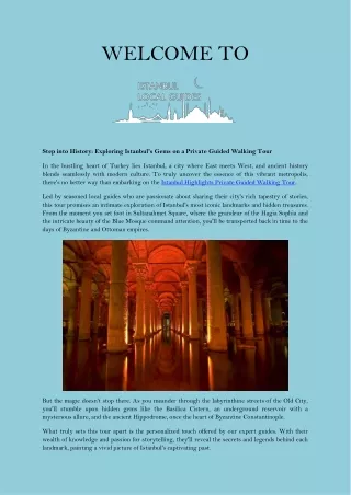 Istanbul Highlights Private Guided Walking Tour