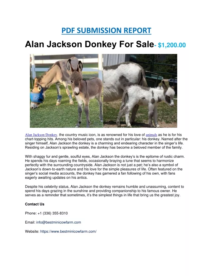 pdf submission report alan jackson donkey