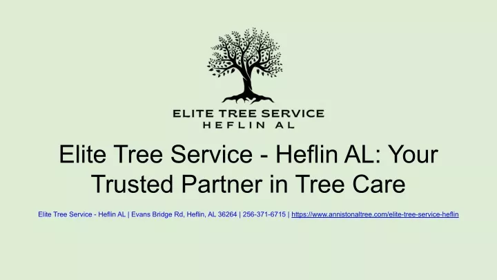 elite tree service heflin al your trusted partner