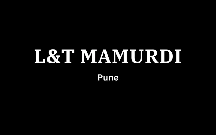 l t mamurdi pune