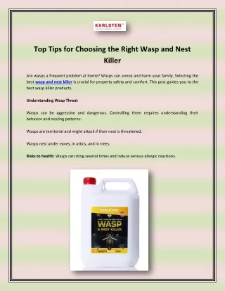 Top Tips for Choosing the Right Wasp and Nest Killer