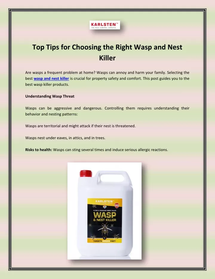 top tips for choosing the right wasp and nest