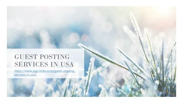 guest posting services in usa https www pgp links
