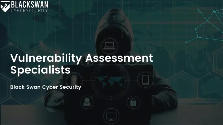 vulnerability assessment specialists