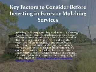 Key Factors to Consider Before Investing in Forestry Mulching Services