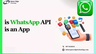 Have You Considered WhatsApp API?