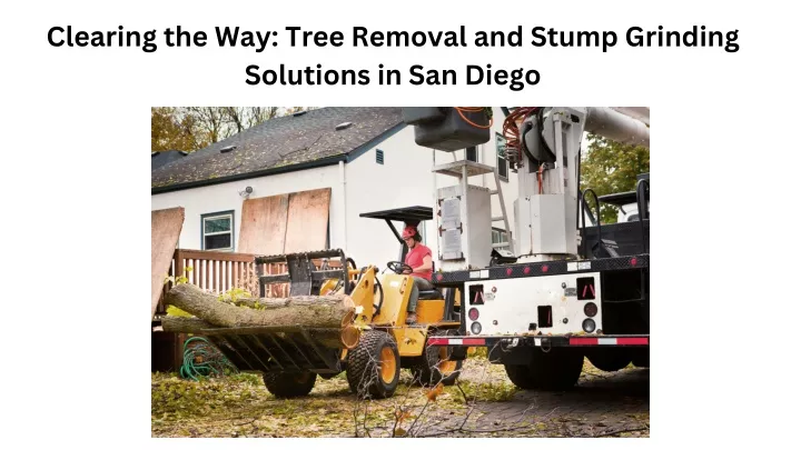 clearing the way tree removal and stump grinding