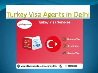 Travel Agent for Turkey Visa