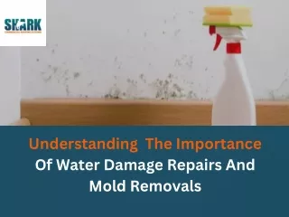 Understanding  The Importance Of Water Damage Repairs And Mold Removals