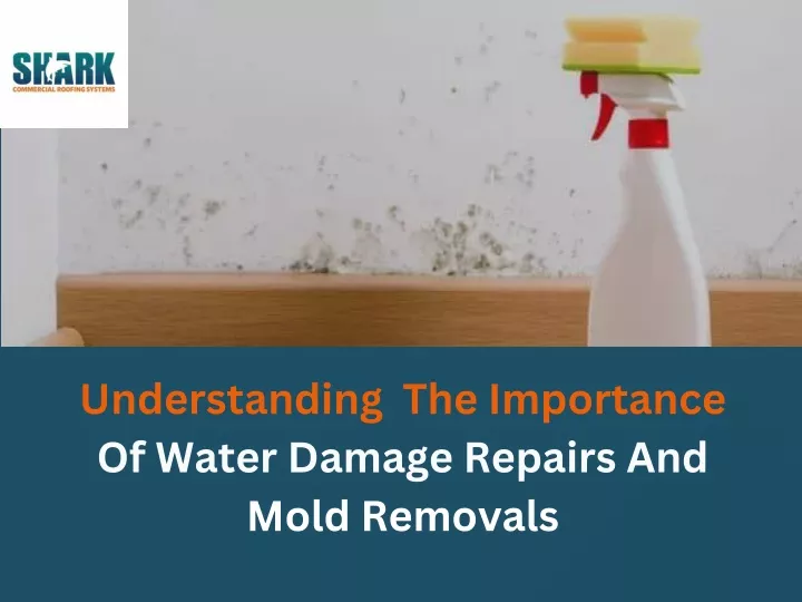 understanding the importance of water damage