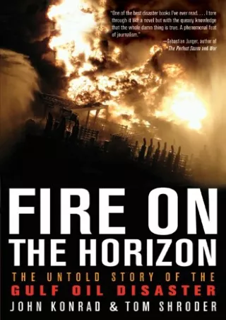 PDF/READ❤  Fire on the Horizon: The Untold Story of the Gulf Oil Disaster
