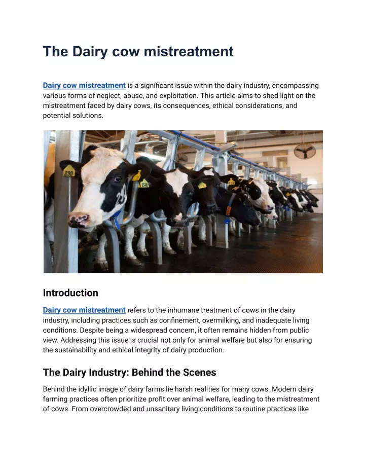 the dairy cow mistreatment