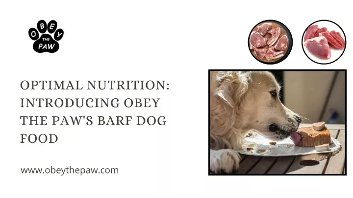 optimal nutrition introducing obey the paw s barf