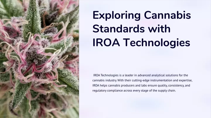 exploring cannabis standards with iroa