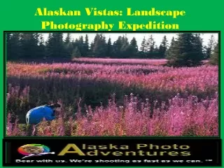 Alaskan Vistas Landscape Photography Expedition