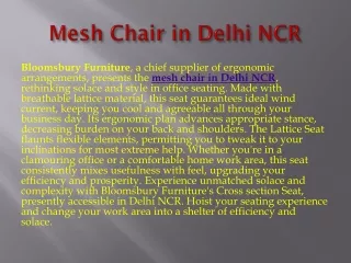 Mesh Chair in Delhi NCR - Bloomsbury Furniture