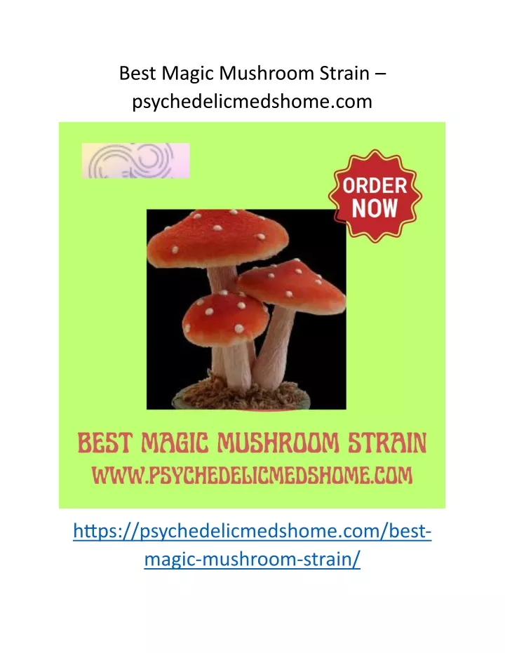 best magic mushroom strain psychedelicmedshome com