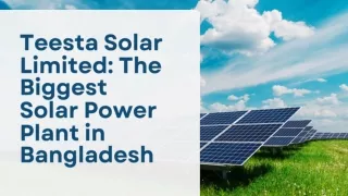 Teesta Solar Limited The Biggest Solar Power Plant in Bangladesh