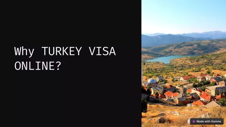 why turkey visa online