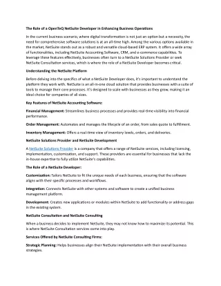 the role of a openteq netsuite developer
