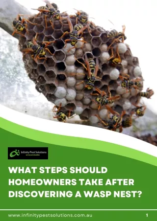 What Steps Should Homeowners Take After Discovering a Wasp Nest?