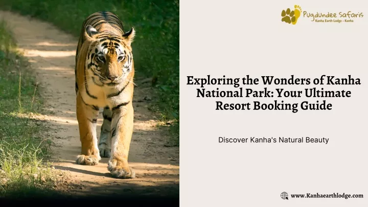 exploring the wonders of kanha national park your