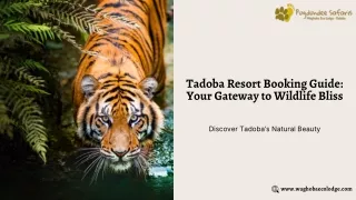 Tadoba Resort Booking Guide Your Gateway to Wildlife Bliss