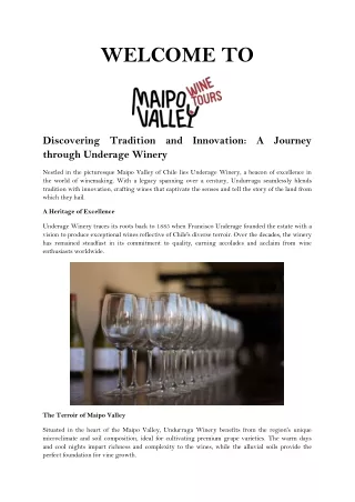 Unveiling the Art of Winemaking Undurraga Winery Adventure