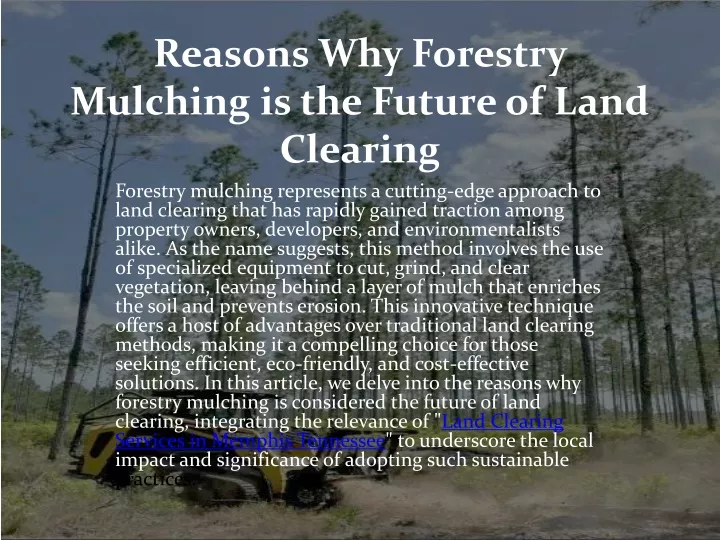 reasons why forestry mulching is the future of land clearing