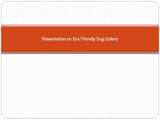 Presentation on Eco Friendly Dog Collars