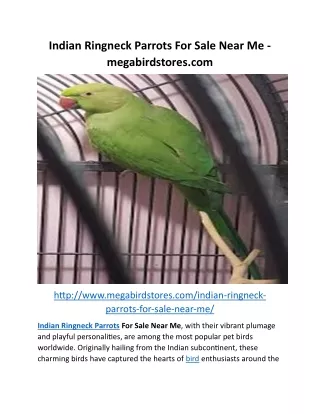 Indian Ringneck Parrots For Sale Near Me - megabirdstores.com