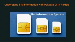Understand SIM Information with Pakdata Cf in Pakista
