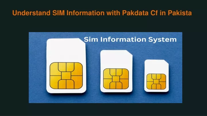 understand sim information with pakdata