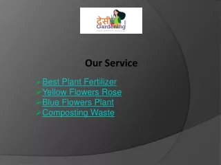 Best Plant Fertilizer