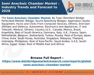 Semi Anechoic Chamber Market