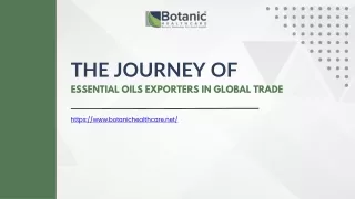The Journey of Essential Oils Exporters in Global Trade