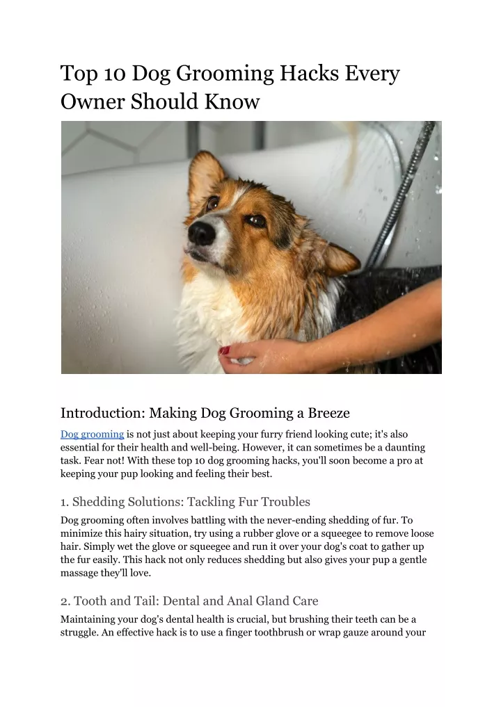 top 10 dog grooming hacks every owner should know